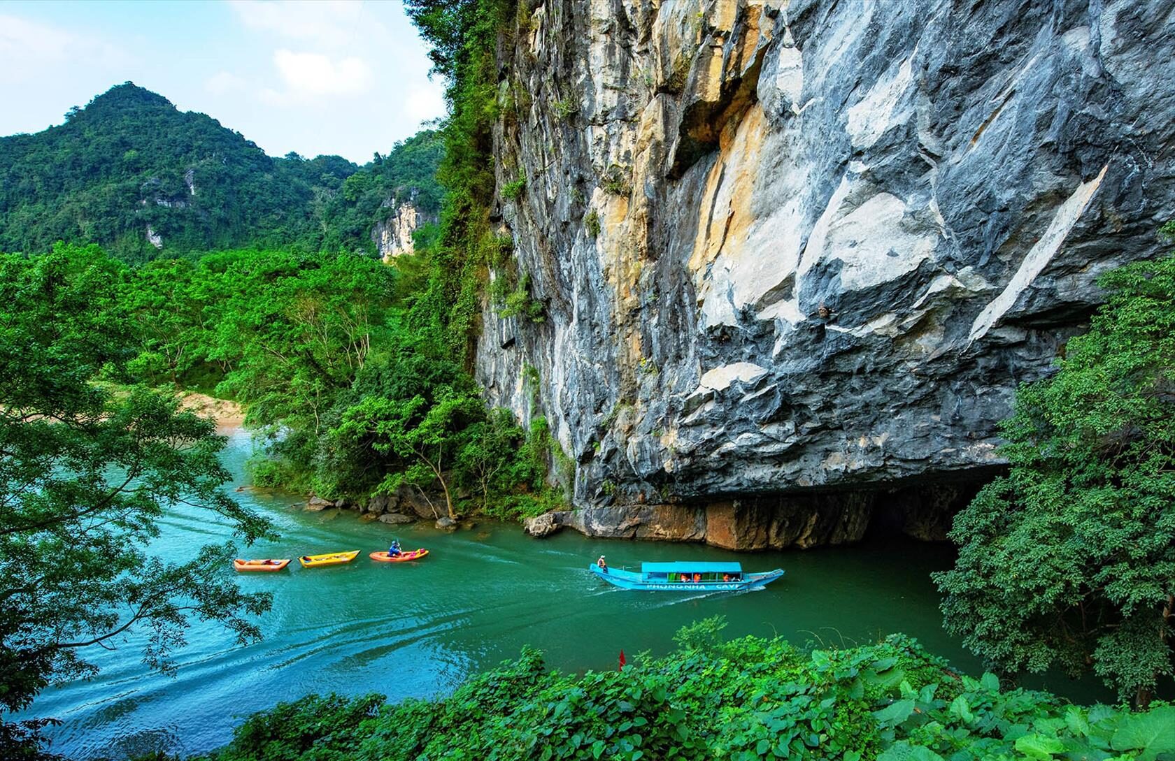 phong nha