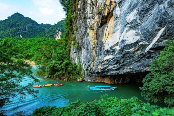 phong nha