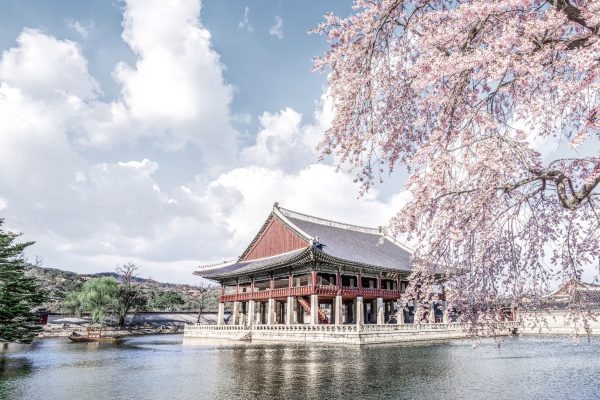 z4956936239312_570cf2a116c980a7d8050cfc37a2912e